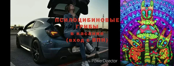 МДПВ Алзамай