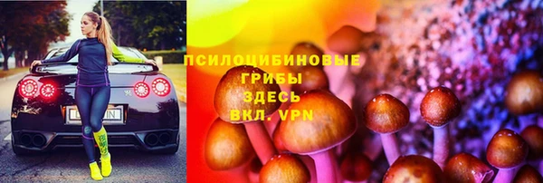 спайс Аркадак